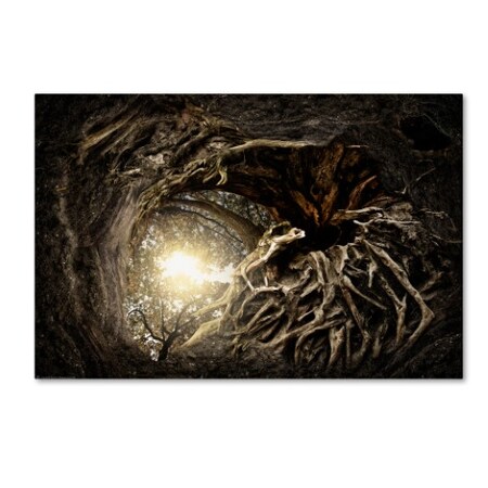 Trademark Fine Art Matthias Bergolth 'Under The Trees #1' Canvas Art, 22x32 1X02743-C2232GG